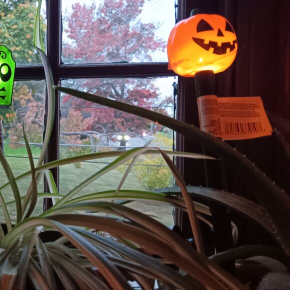 👻 Halloween Solar Lawn Stakes 2 Pumpkin Bundle Jack O Lantern Lot - Picture 2 of 3